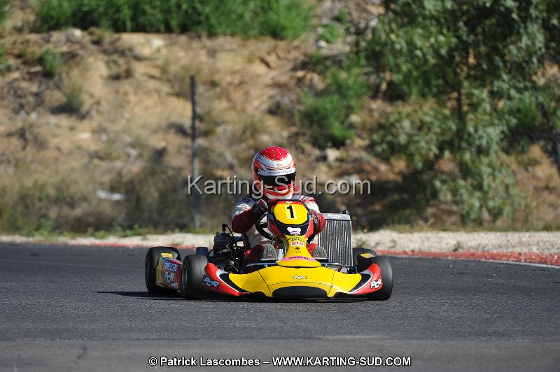 DSC (2558).JPG